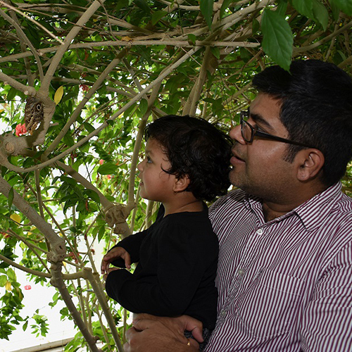 Father and child in butterfly conservatory